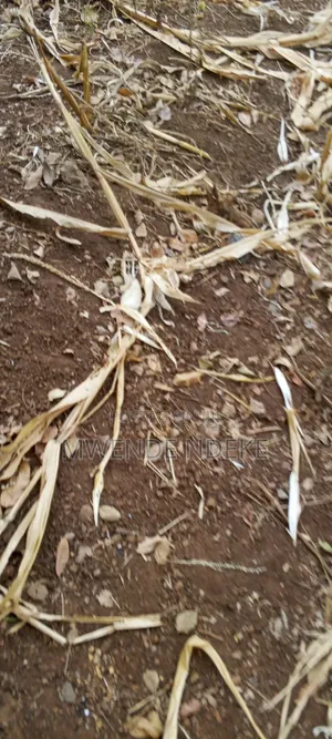 0.1 Acres Land for Sale at Gwa Kairu
