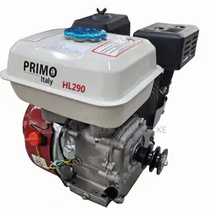 Powerful HL290 8.5HP Engine – Reliable & Durable Performance