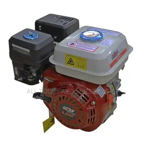 Powerful Original Golf Germany Gasoline Engine GX200