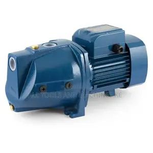 PEDROLLO JSW1A 0.6KW Pump Reliable High Performance and Energy