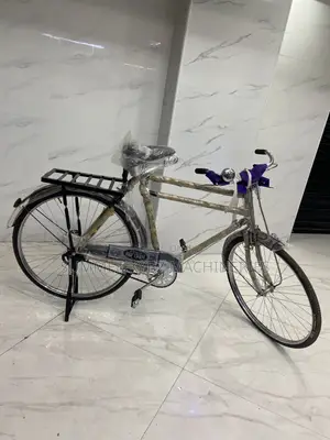 Heavy-Duty Bicycle (Black Mamba)