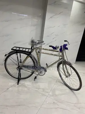 Heavy-Duty Bicycle (Black Mamba)