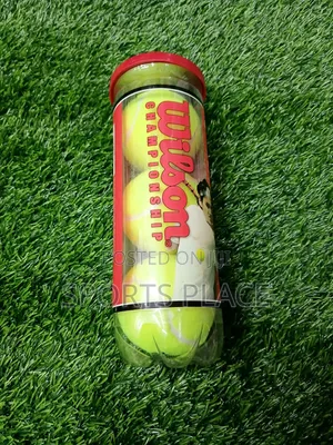 Wilson US 2 Tennis Balls