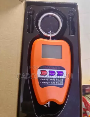 New 200Kg Crane Scale/200Kg Crane Weighing Scale