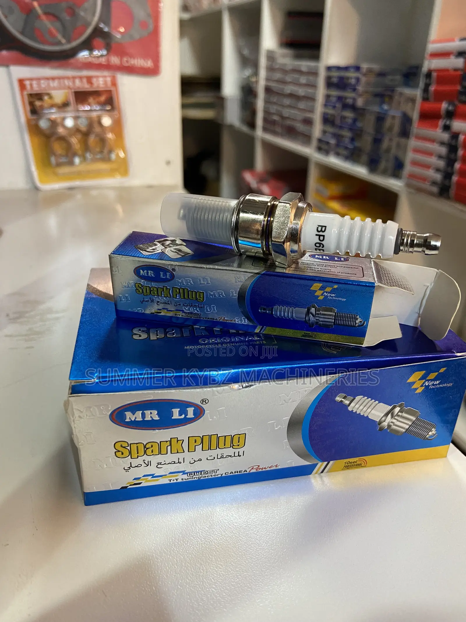 Mr Li BP6E Spark Plug