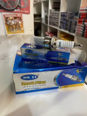 Mr Li BP6E Spark Plug