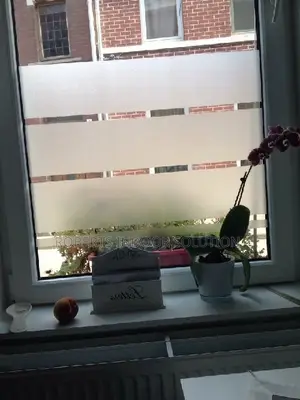 Renter Friendly Window Film