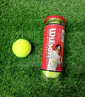 Extra Duty Championship Tennis Balls