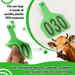 Tagging With Z Tags for Cattle