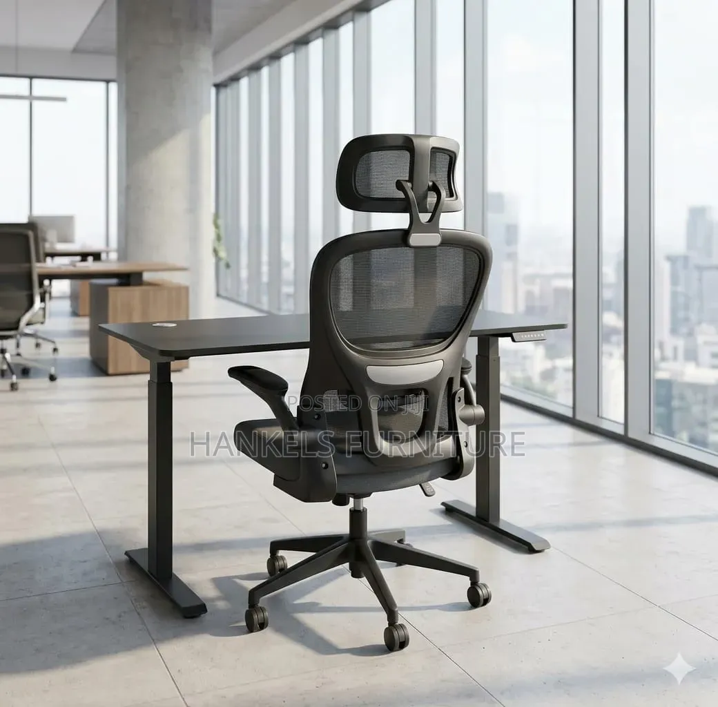 Orthopedic Chair and Electric Adjustable Desk | Ergonomic Office Setup