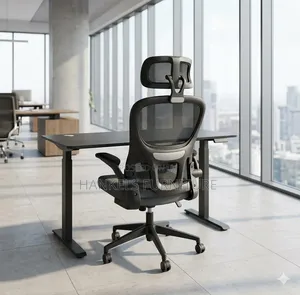 Orthopedic Chair and Electric Adjustable Desk | Ergonomic Office Setup