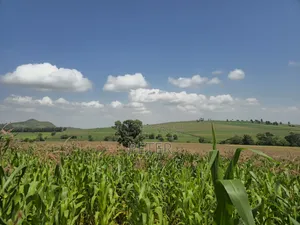 200 Acres for Sale