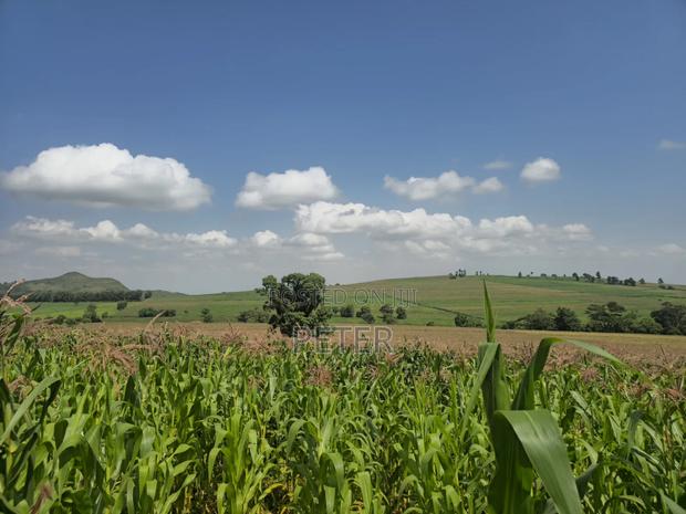200 Acres for Sale