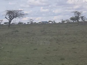 2,600 Acres Freehold Rumuruti, Laikipia County