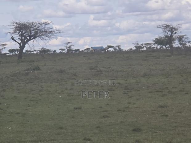 2,600 Acres Freehold Rumuruti, Laikipia County