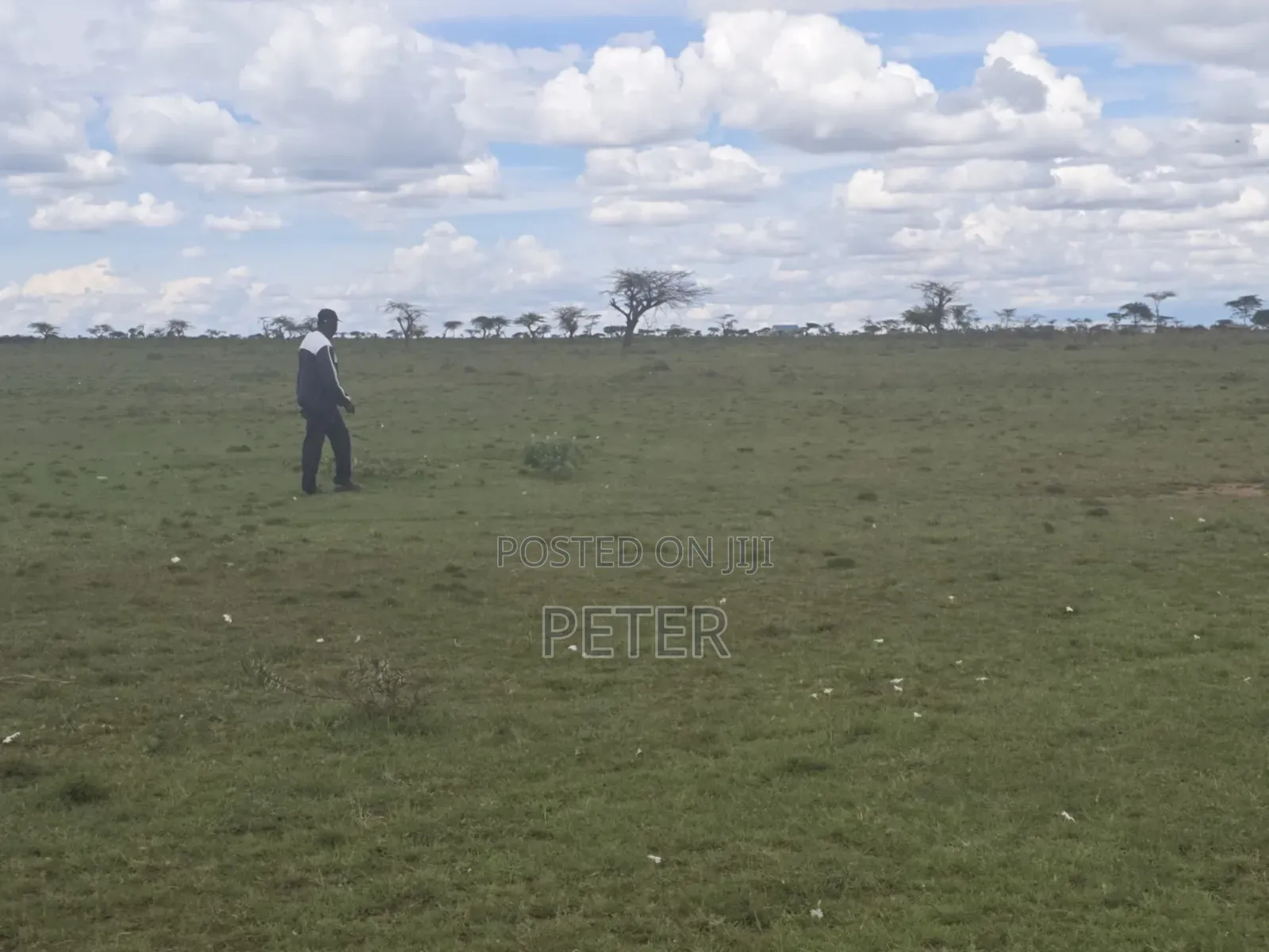 2,600 Acres Freehold Rumuruti, Laikipia County