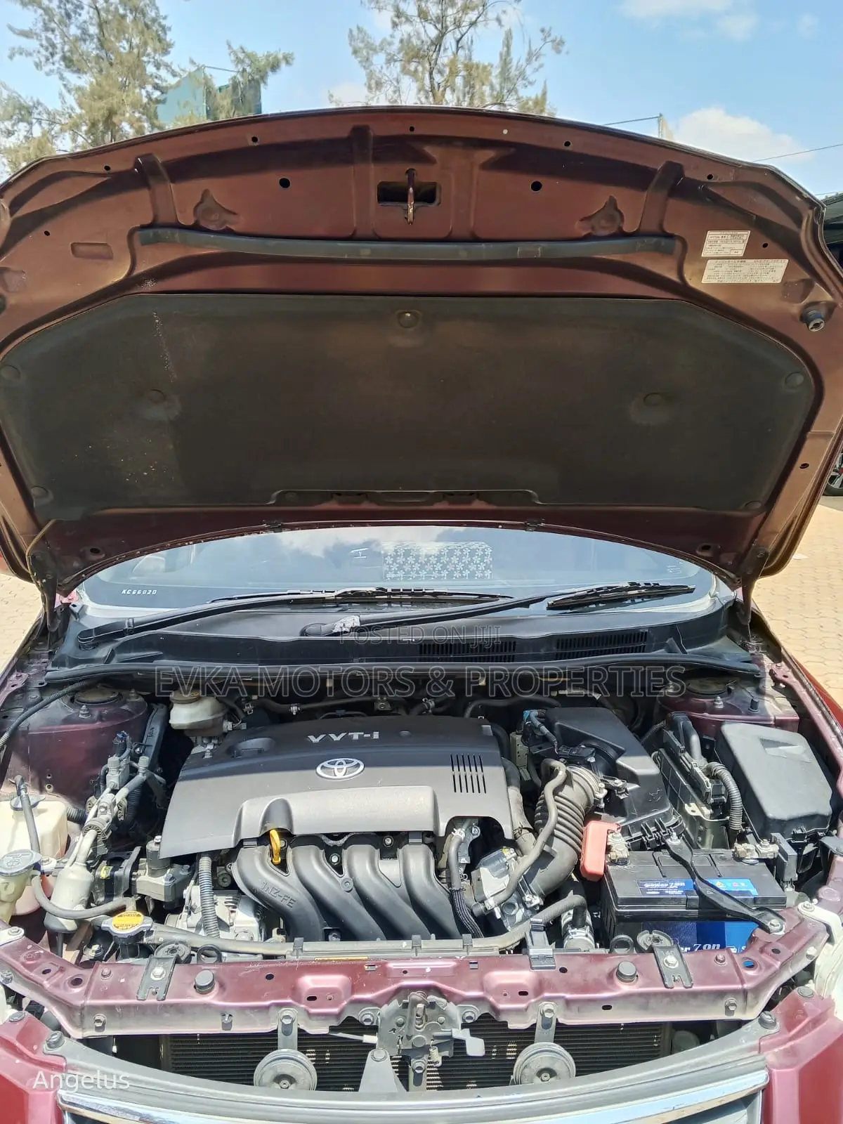 Toyota Axio 2009 Maroon