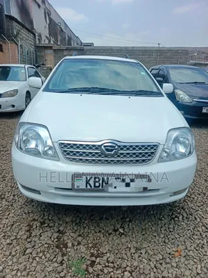 Toyota Corolla Fielder 2006 White