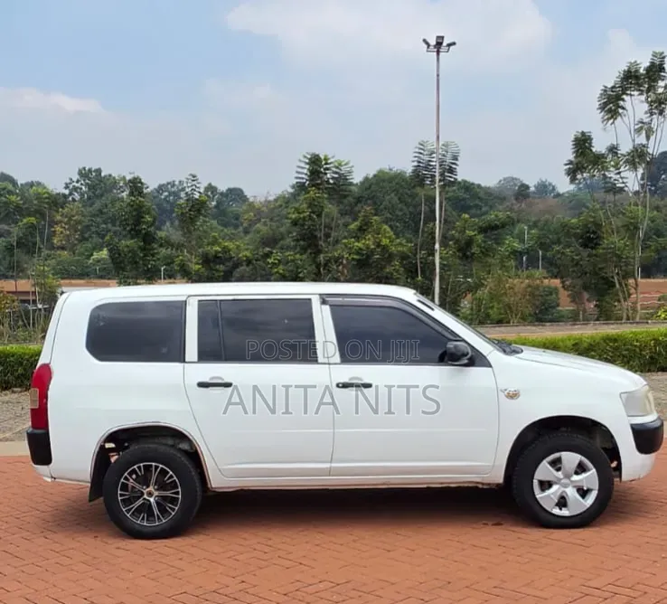Toyota Probox 2013 White