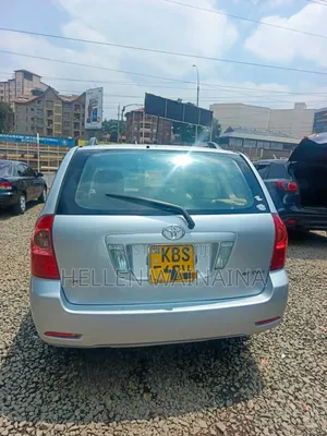 Toyota Corolla Fielder 2006 Silver