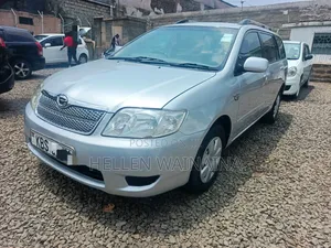 Toyota Corolla Fielder 2006 Silver