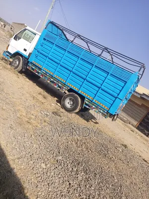 Locally Owned Mitsubishi Canter 4D32