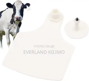 Blank Cattle Ear Tags