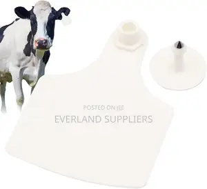 Blank Cattle Ear Tags