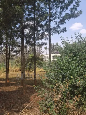 Kiambu Road Opposite Kist Off Njathaini Rd Prime 1/2ac