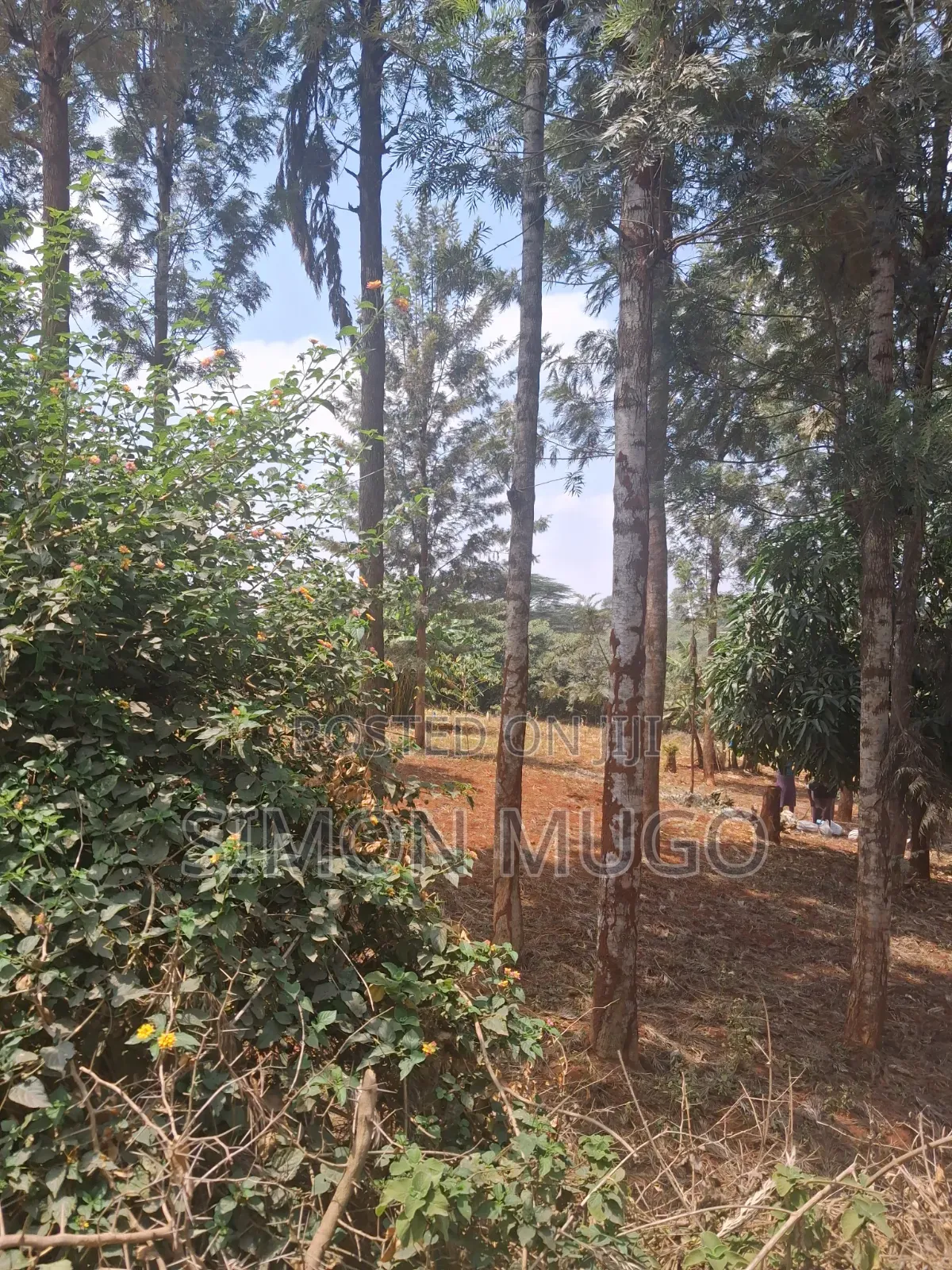 Kiambu Road Opposite Kist Off Njathaini Rd Prime 1/2ac