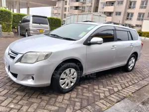 Toyota Corolla Fielder 2010 Silver