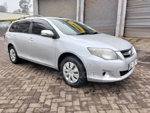 Toyota Corolla Fielder 2010 Silver