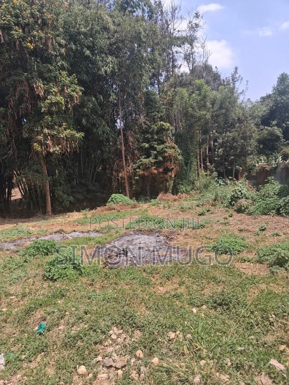 Kiambu Road Prime 1/4 Acre Plot in Picken Gardens