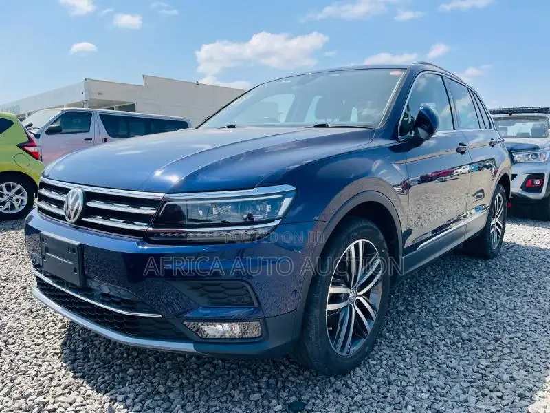Volkswagen Tiguan 2019 Blue