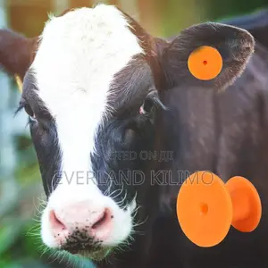 Ear Tag Blank Accessory for Pig