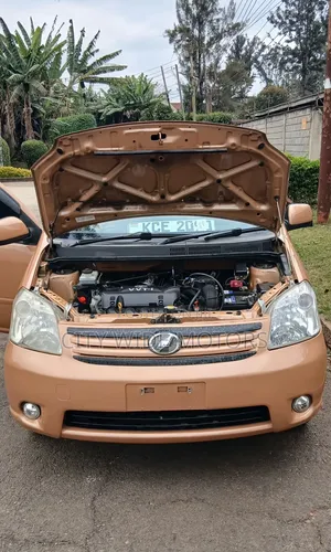 Toyota Raum 2008 Brown