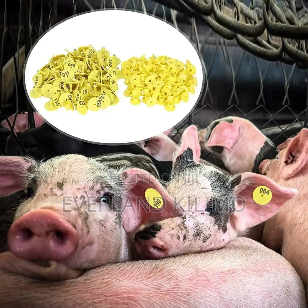The Round Numbered Ear Tag Is Suitable for Different Animals