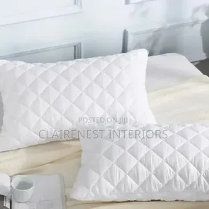 Keep Moisture From Soaking Into Your Bed Pillows