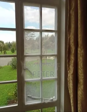 Windows Mosquito Nets