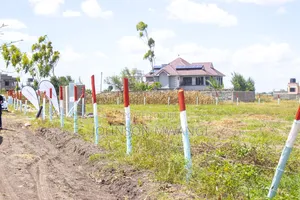 Prime Plots JOSKA
