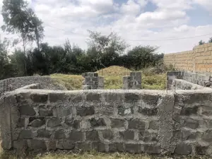 Plot in Tuala
