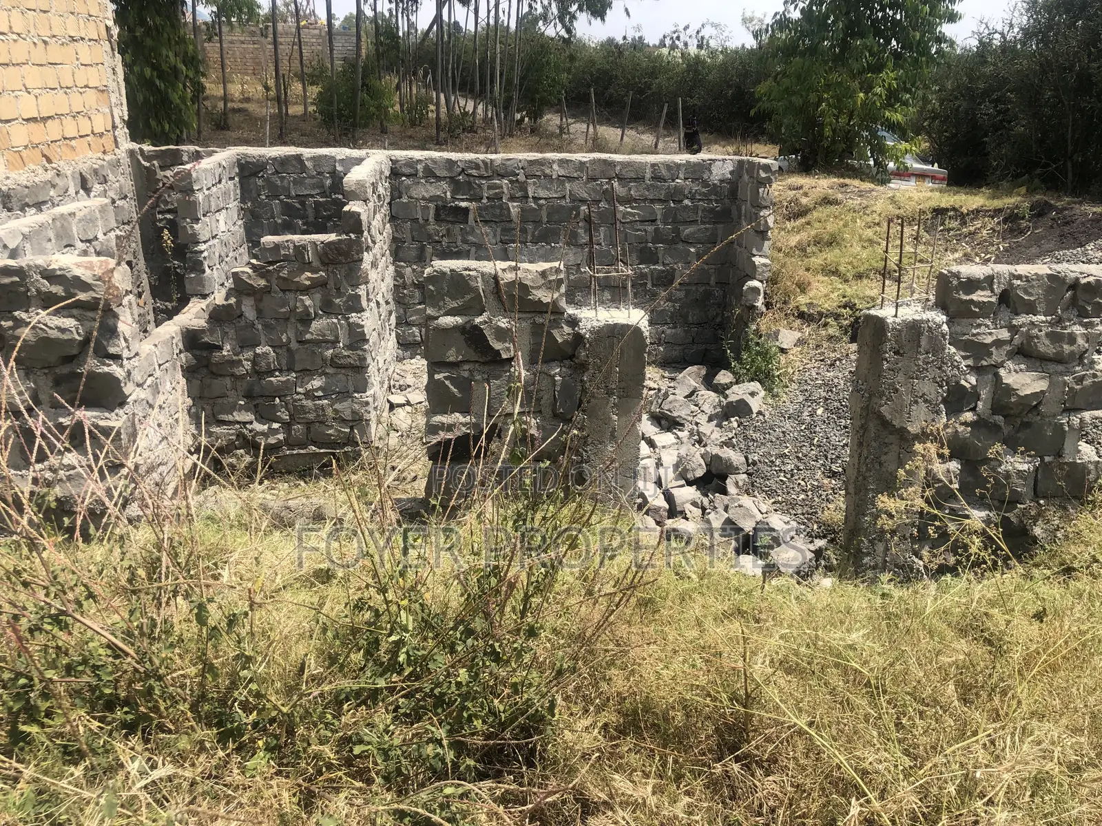 Plot in Tuala