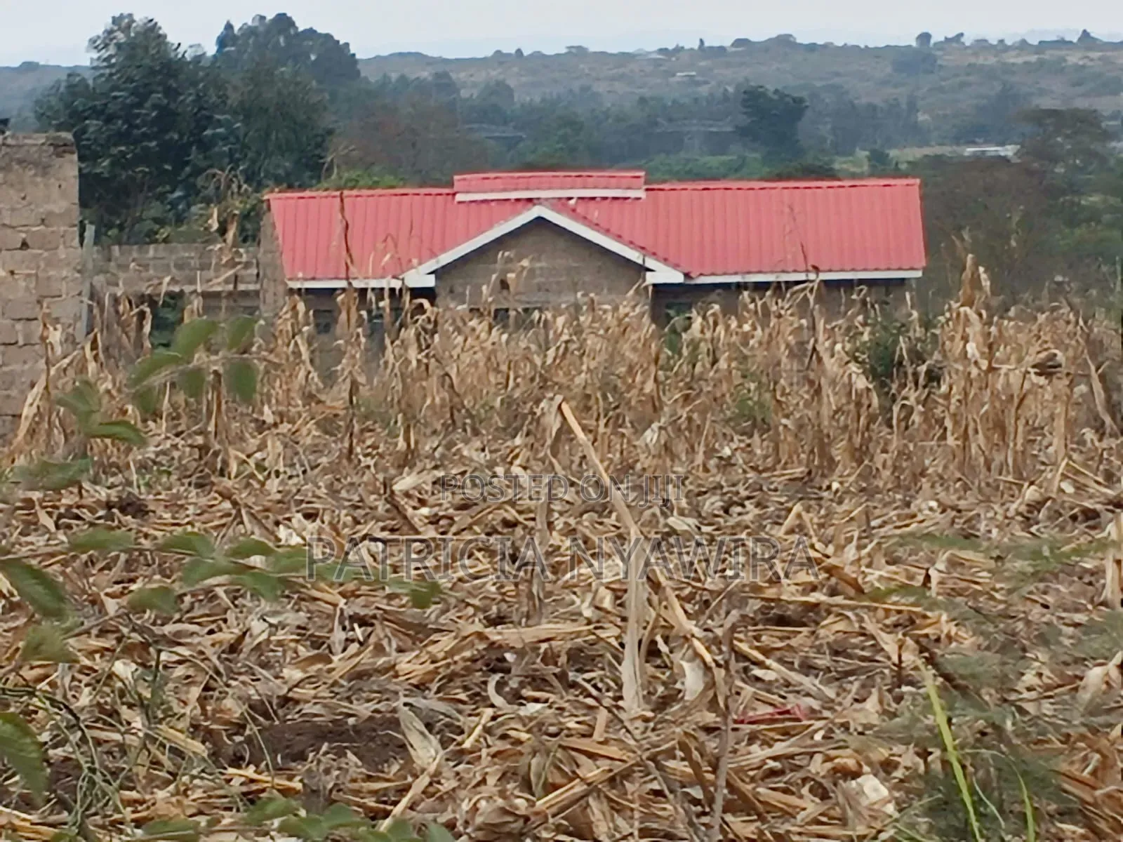 Plot for Sale
