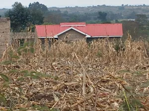 Plot for Sale