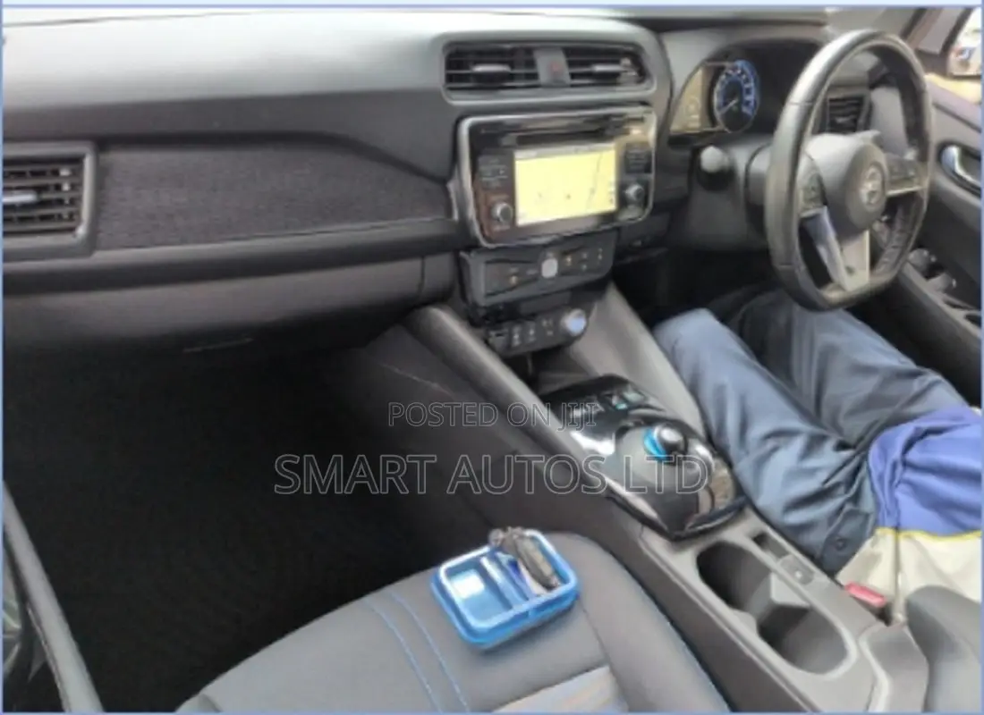 Nissan Leaf 2019 Silver