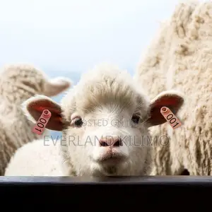 Premium Heat Resistant Ear Tags