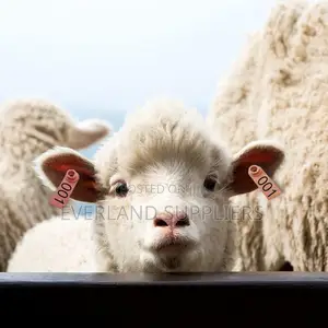 Premium Heat Resistant Ear Tags