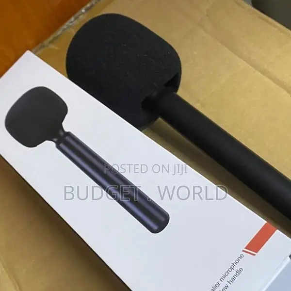 Premium Wireless Lavalier Mic for Professional Video Recording