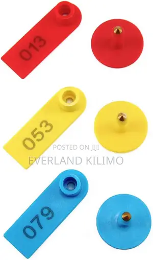 Multi Color Sheep Ear Tags