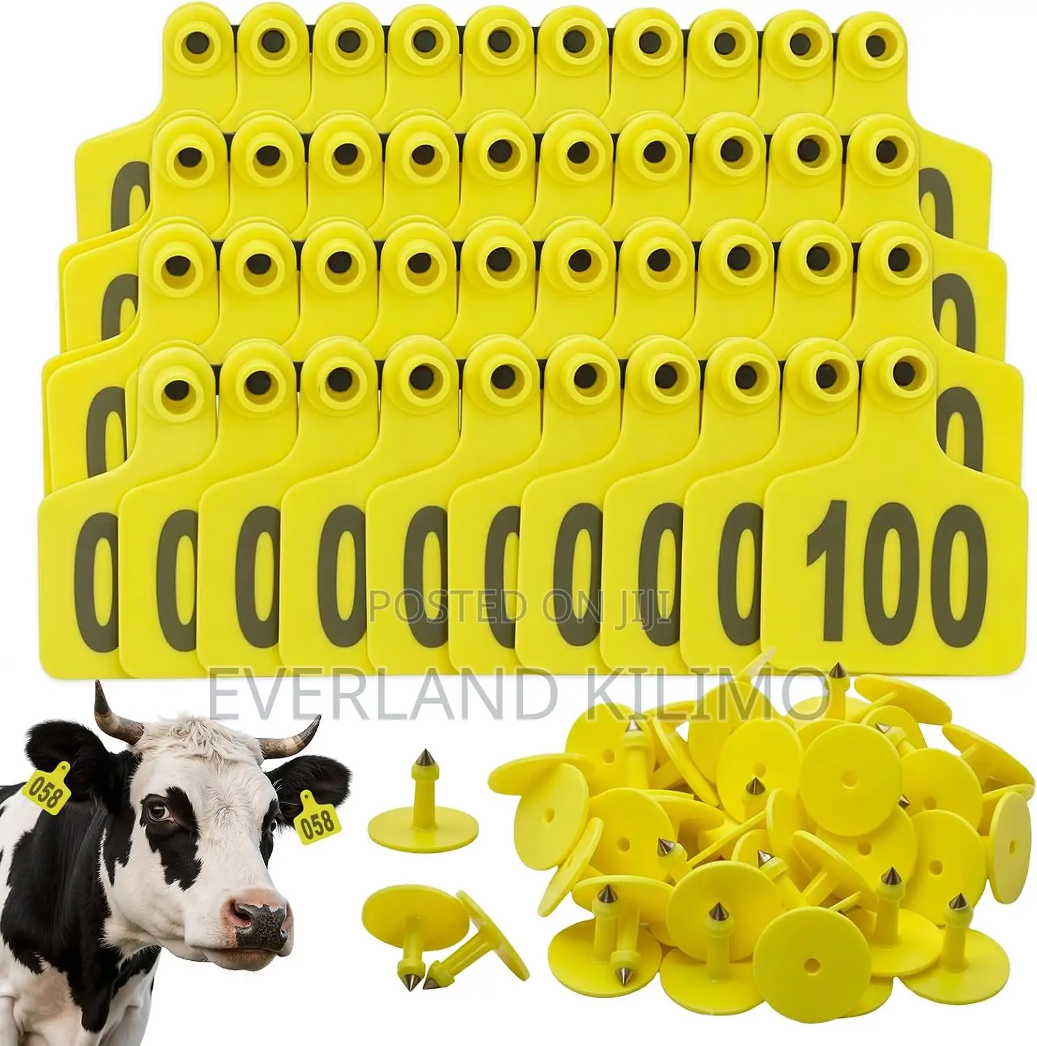 Ear Tags for Ranch Farm Herd Tracking